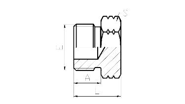 4o